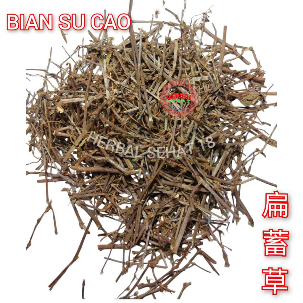 

Bian Xu Cao 600gram Bian Su Cao Knotgrass Herb Herba Polygoni Avicularis