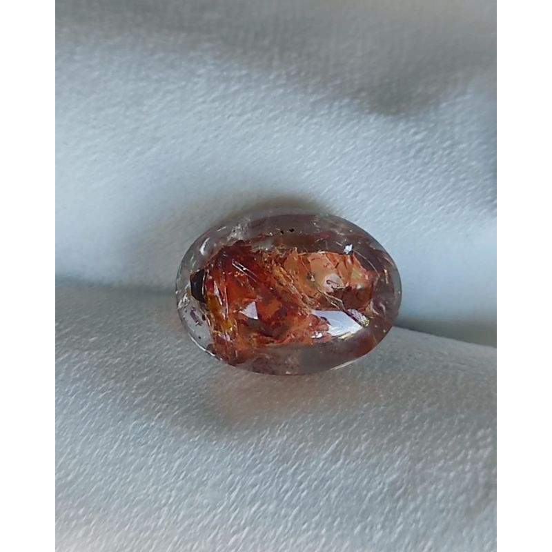 KECUBUNG ANTIK KECUBUNG UNIK KECUBUNG KARANG KECUBUNG BORNEO KALIMANTAN