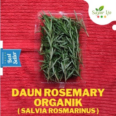

Daun Rosemary Organik 30 Gram / Pack Fresh Salvia Rosmarinus Sayur Hijau Rempah Segar