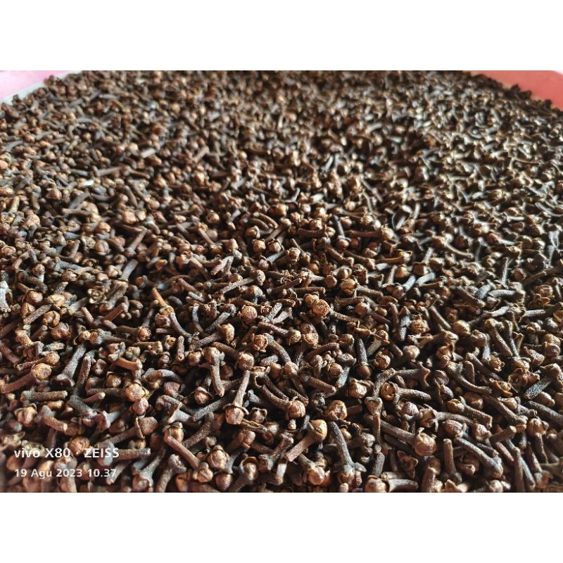 

Cengkeh Premium