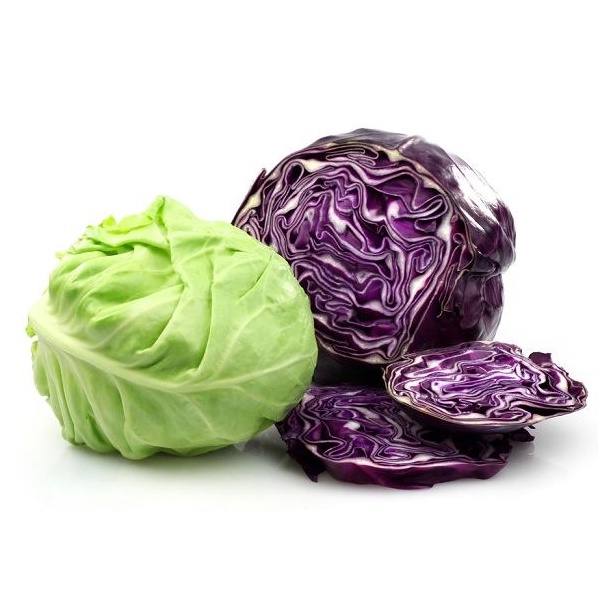 

Harga Murah sayur kol Terkini