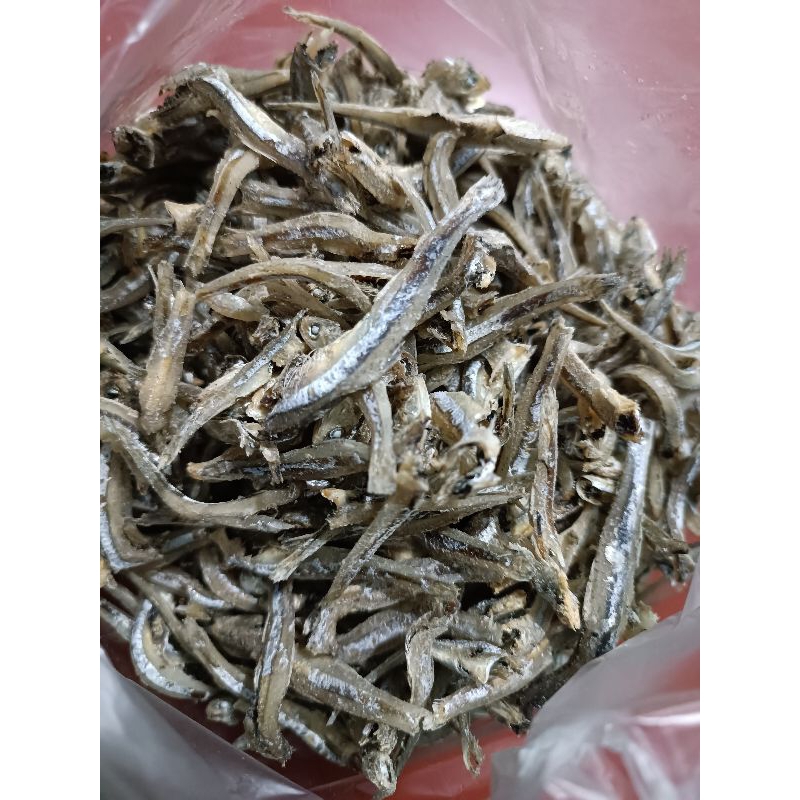 

ikan teri kasar
