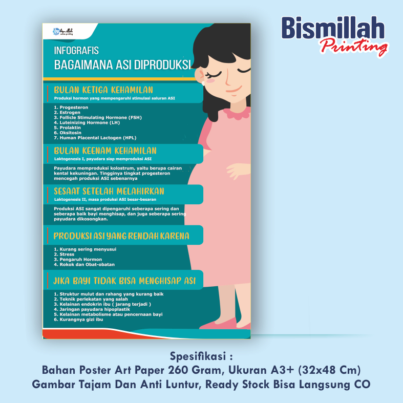 

Poster Kebidanan Bagaimana Asi Diproduksi