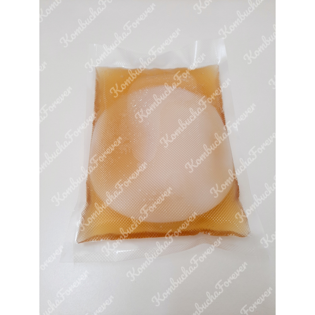 

Bibit Scoby Jamur Kombucha Besar Tebal -+ 1 cm Premium Organik