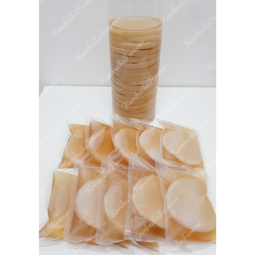 

Bibit Scoby Jamur Kombucha D 8,5-9 cm Tebal 2-3 cm Premium Organik