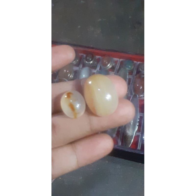 batu kristal fosil  lawasan