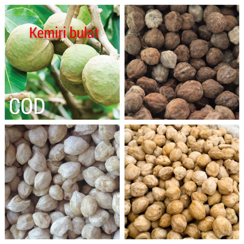 

KEMIRI BULAT KEMIRI UTUH 100% ALAMI 1kg