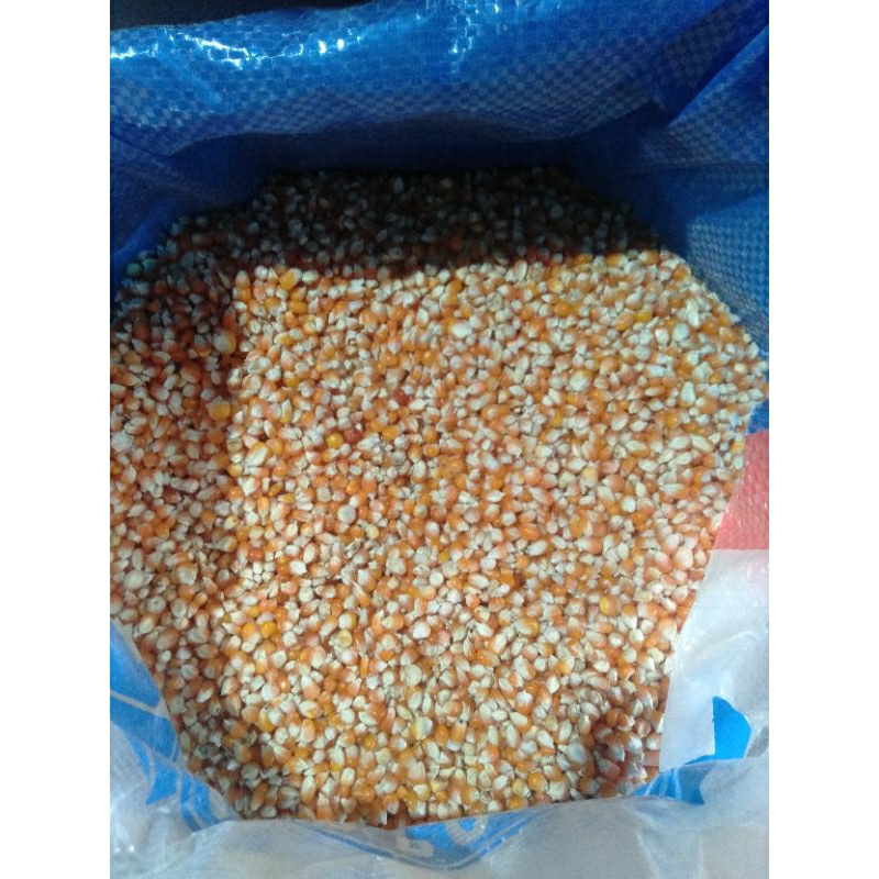 

Jagung kecil per 500gram