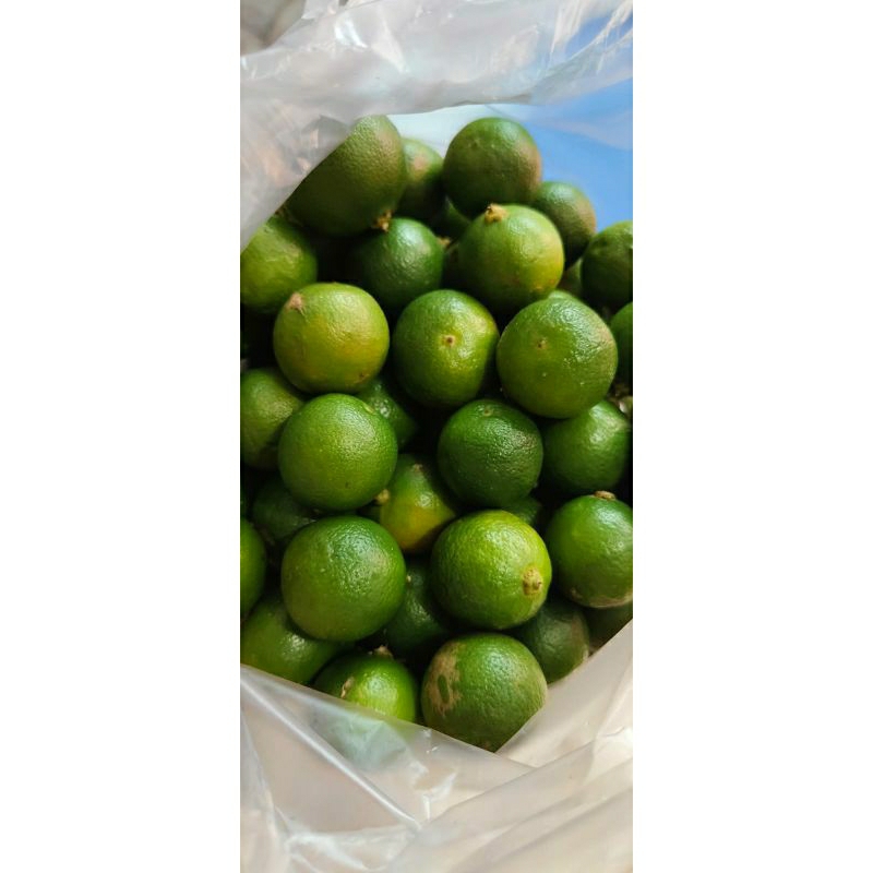 

NEW!! Jeruk Sonkit Freshh 1kg/