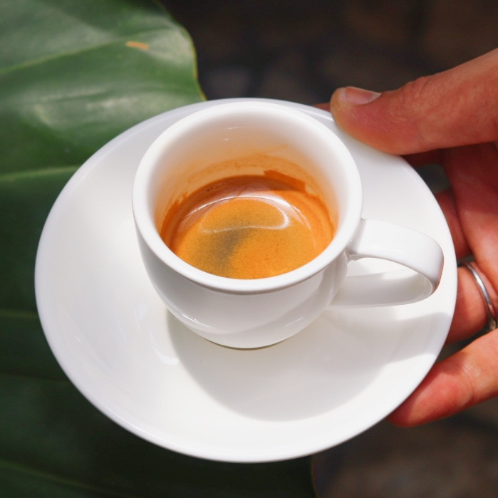 

Kopi Espresso Blend Kopi Susu Arabica Robusta PREMIUM (200 Gram) ARABUSTA GREEK FREAK