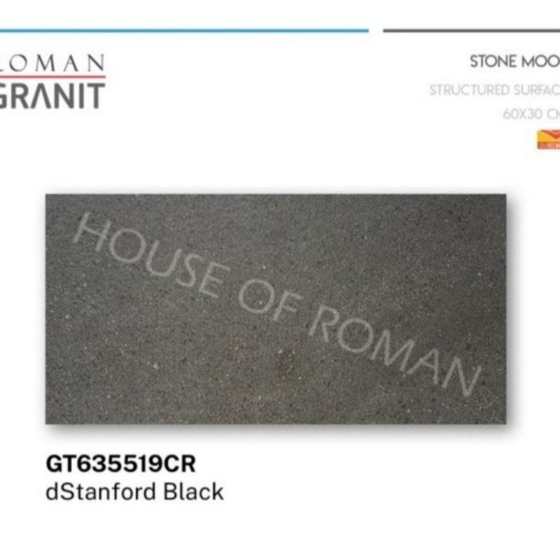 Roman Granit GT635519CR dStanford Black 30x60 kw1