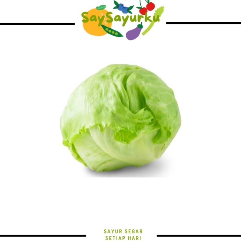 

LETTUCE 500GR