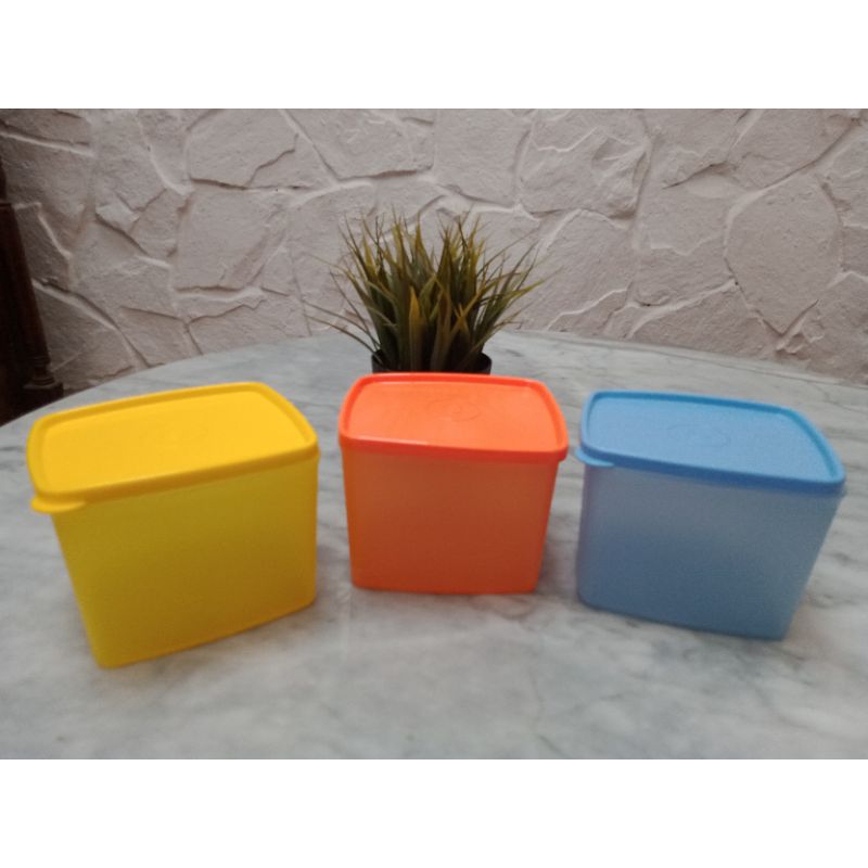 Tupperware Medium Summer Fresh Tropical