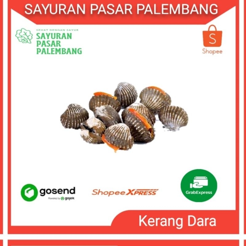 

Kerang Dara - Sayuran Pasar Palembang