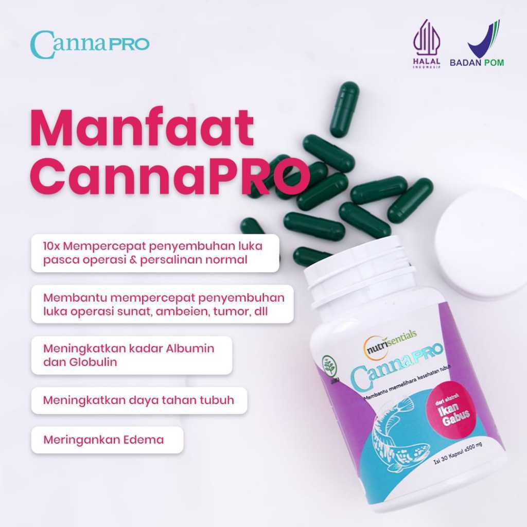 CannaPro Ekstrak Ikan Gabus Herbal Original Obat Pasca Operasi Penyembuhan 10 X Lebih Cepat isi 10 d