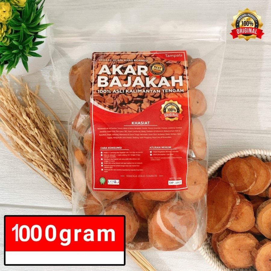 

Akar Kayu BAJAKAH TAMPALA MERAH Siap Seduh Obat Tumor dan Kanker 100% ORIGINAL Kalimantan 1000g