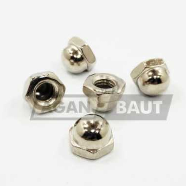 Mur Topi M4 / Cap Nut M4