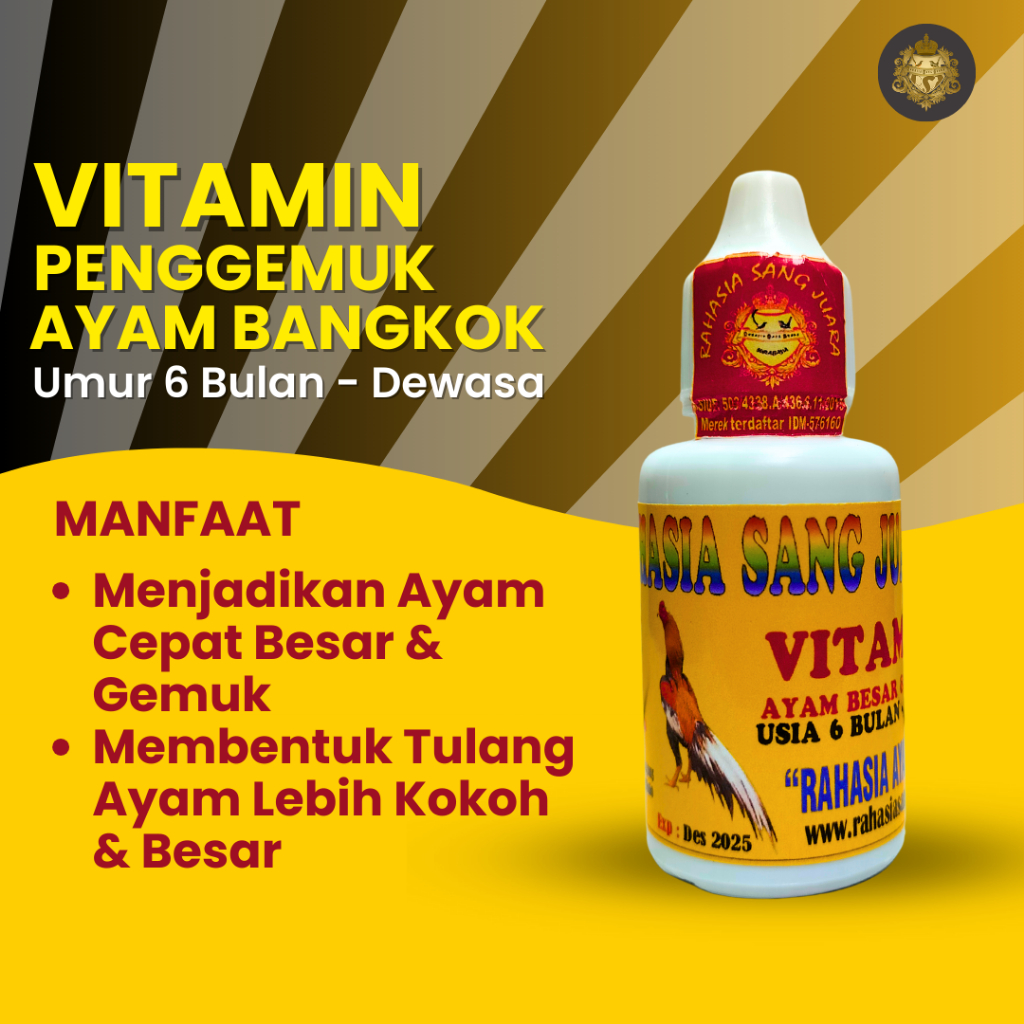 PENGGEMUK AYAM BANGKOK OBAT PENGGEMUK AYAM CEPAT BESAR DAN GEMUK UMUR 6 BULAN SAMPAI DEWASA