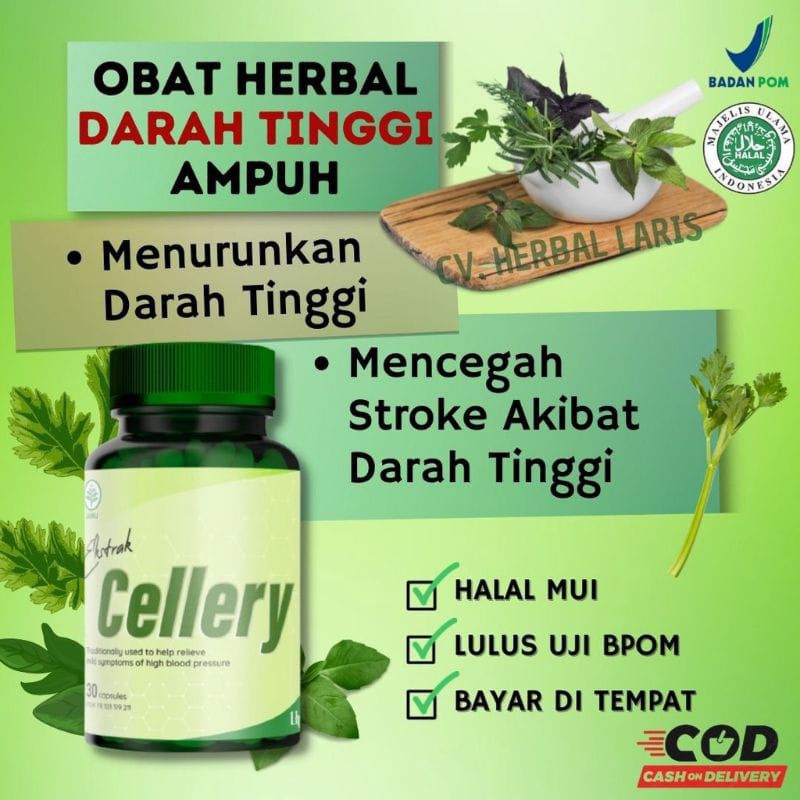 E cellery obat herbal darah tinggi ampuh obat hipertensi