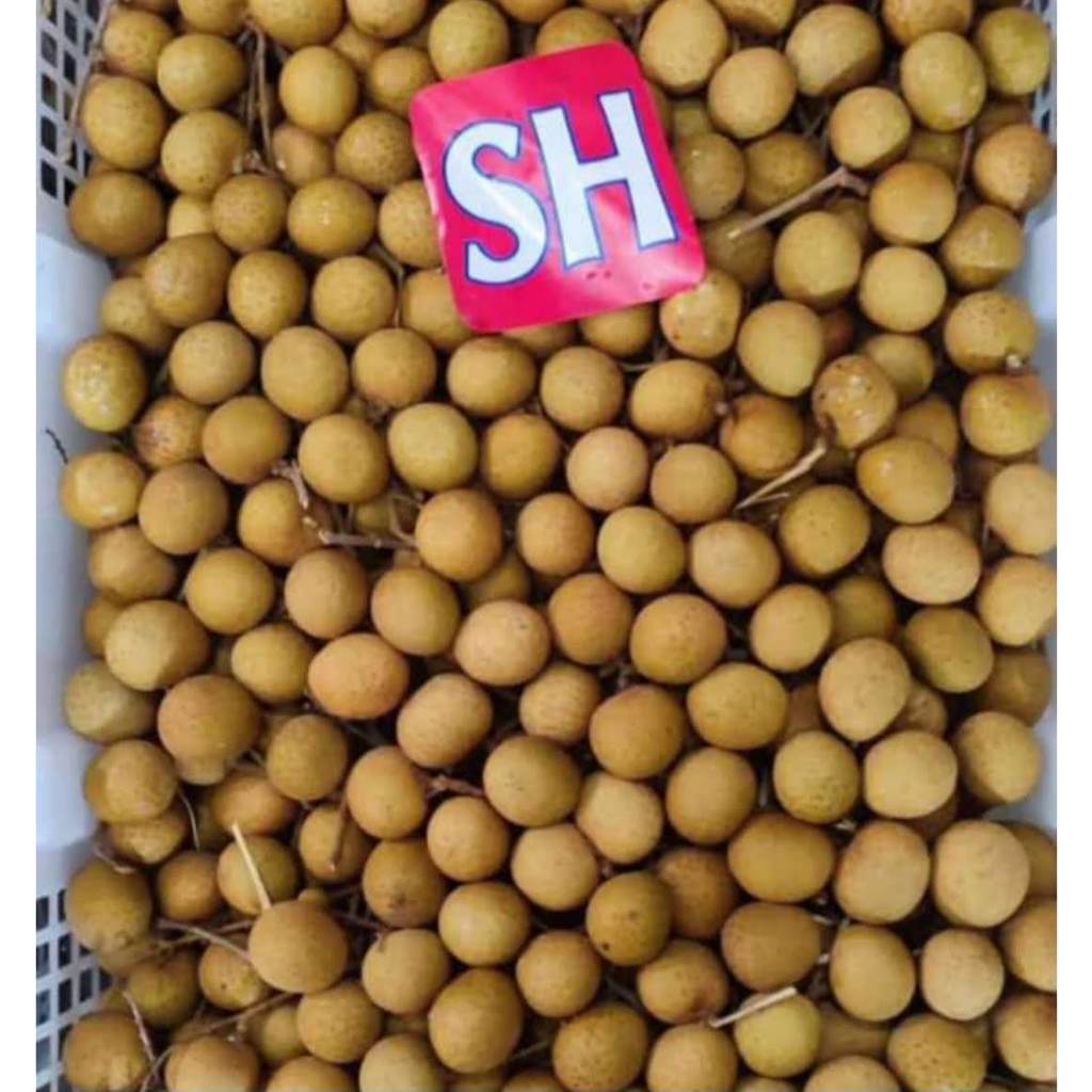 Buah Kelengkeng Lengkeng