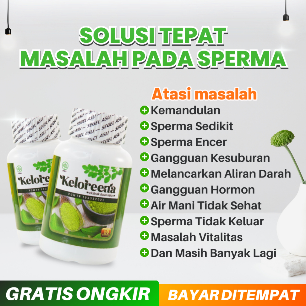 Obat Herbal Teratozoospermia Azoospermia Pyospermia Necrozoospermia Oligozoospermia Asthenozoospermi