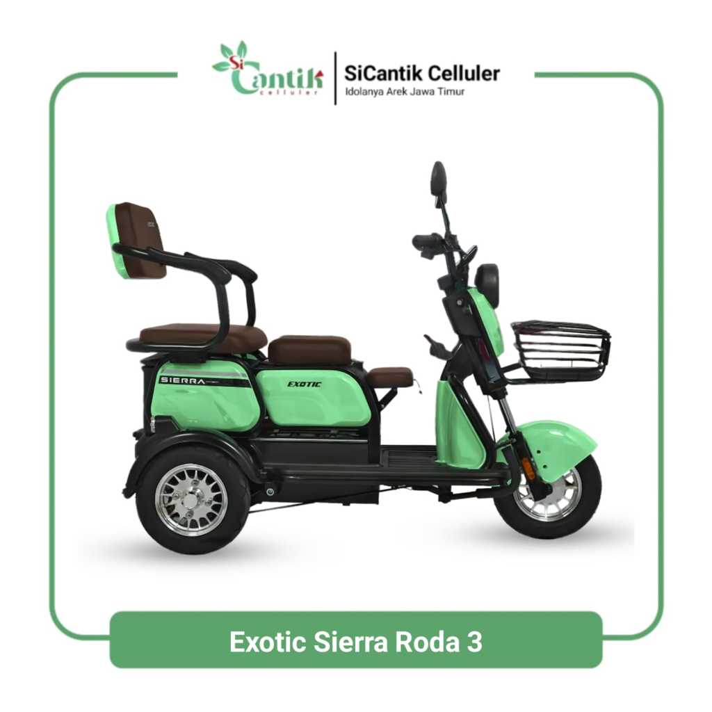 Sepeda Listrik Exotic Sierra Roda 3