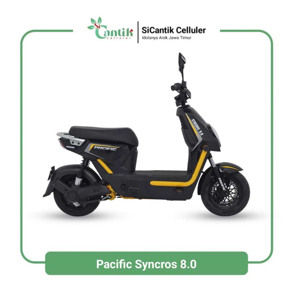 Sepeda Listrik Pacific Syncros 8.0