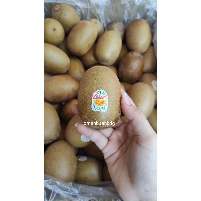 

Buah Kiwi Gold Zespri [ 500gr ] Premium Fresh Fruit Bandung