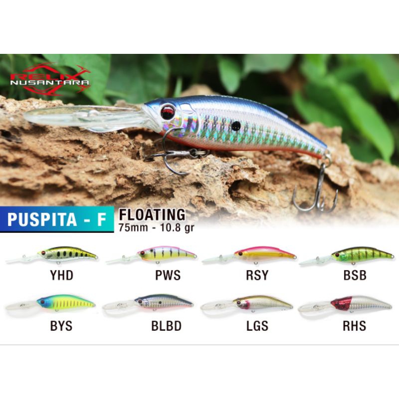 Puspita F minnow relix nusantara