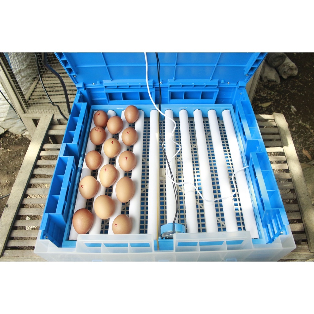 FGFG56846 DICARI PETERNAK AYAM MESIN TETAS TELUR FULL OTOMATIS - MESIN TETAS KAPASITAS TELUR 100 [