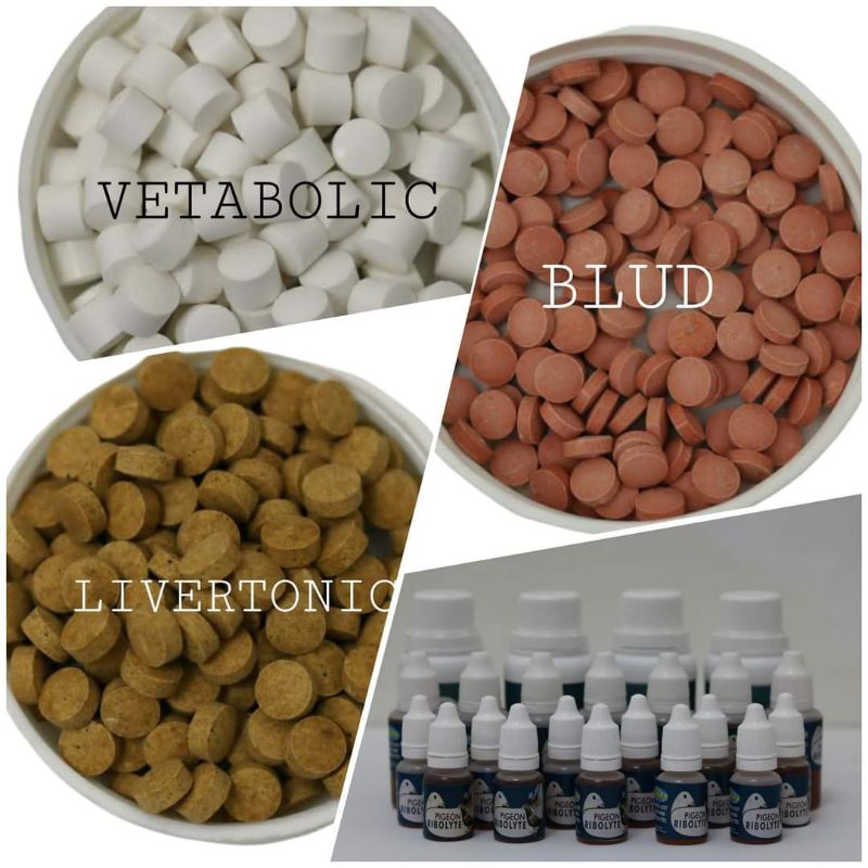 blud vetafram,jamu merpati blud, blud