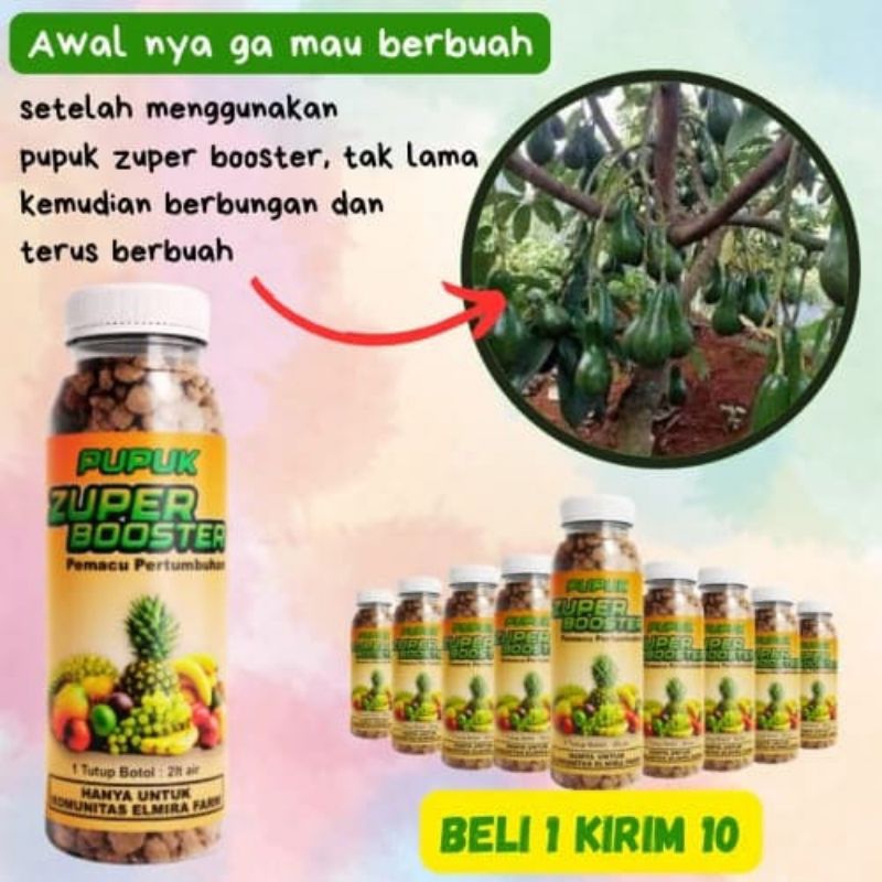 PUPUK ZUPER BOOSTER PELEBAT BUAH Beli 1 Dapat 10