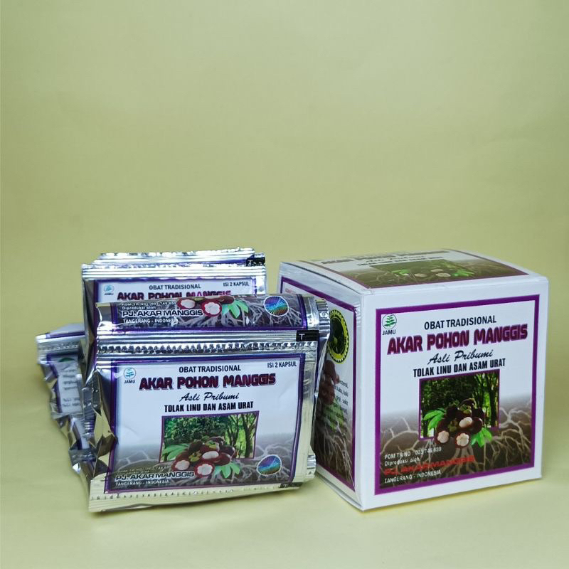 akar pohon manggis original kapsul