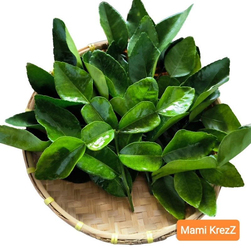 

PROMO Jeruk Purut Angka Delapan 8 Daun Satu Bungkus