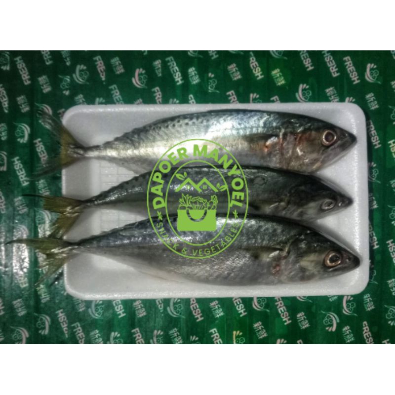 

Ikan Kembung