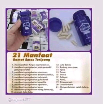 GAMAT BASU FREE MEMBER+ID PIN MEMBER LAIN