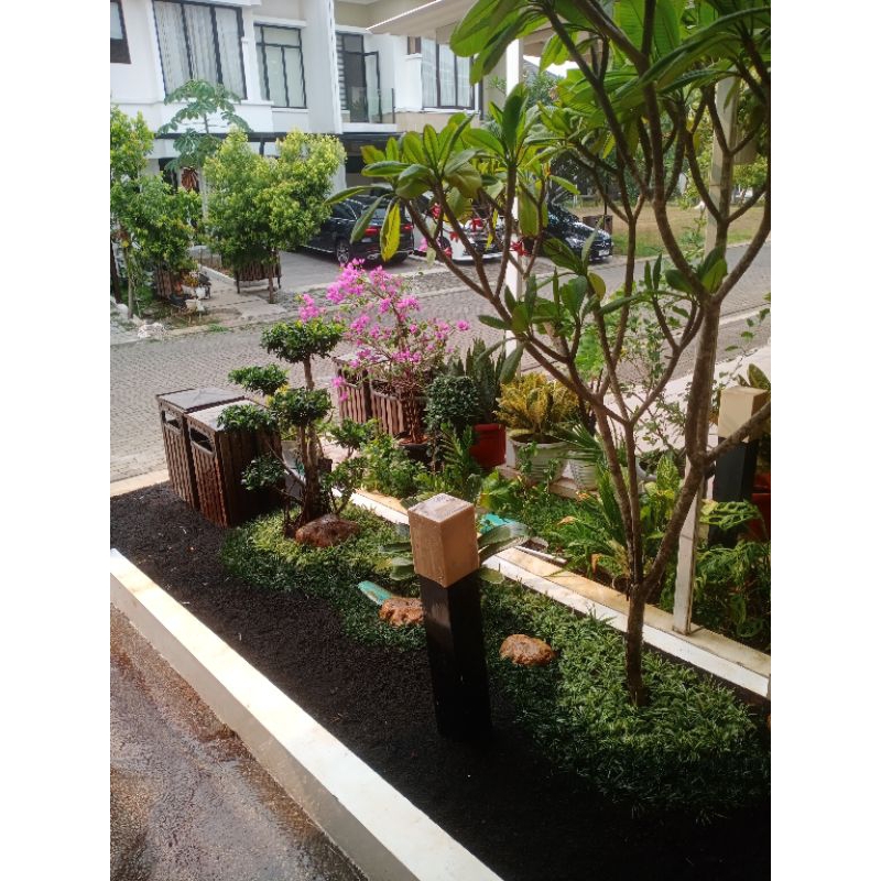 taman kering batu koral