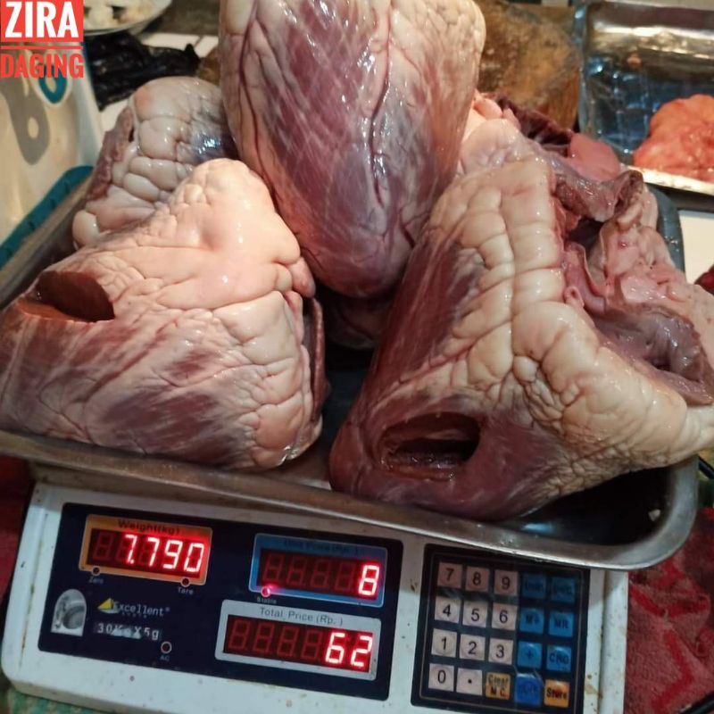 

JATUNG SAPI LOKAL || 500 GRAM - 1 KG