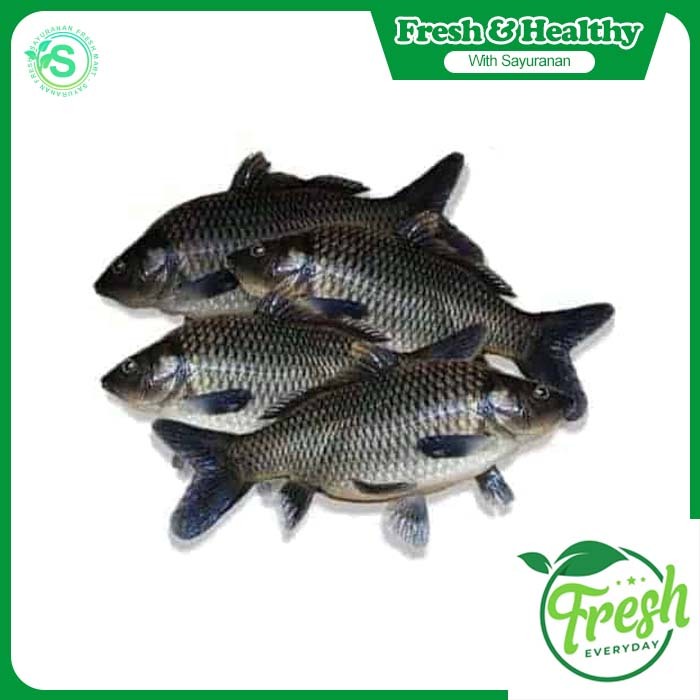 

IKAN MAS FRESH - N FRESH MART