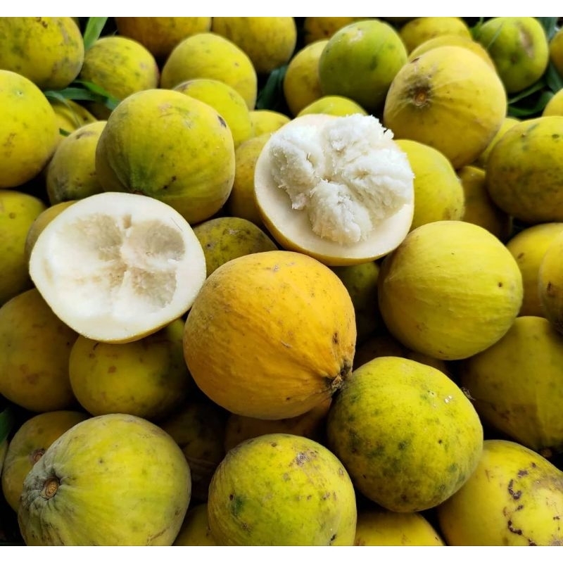 

BUAH KECAPI/KECAPI FRESH/KECAPI MANIS SEGAR 1KG