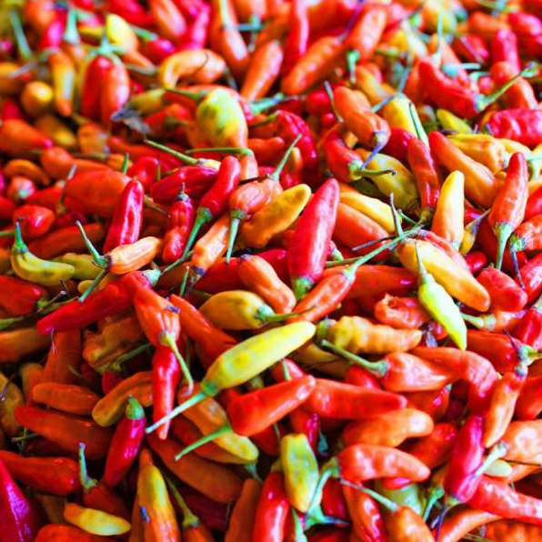 

Cabe / Cabai Rawit Merah 500 gr