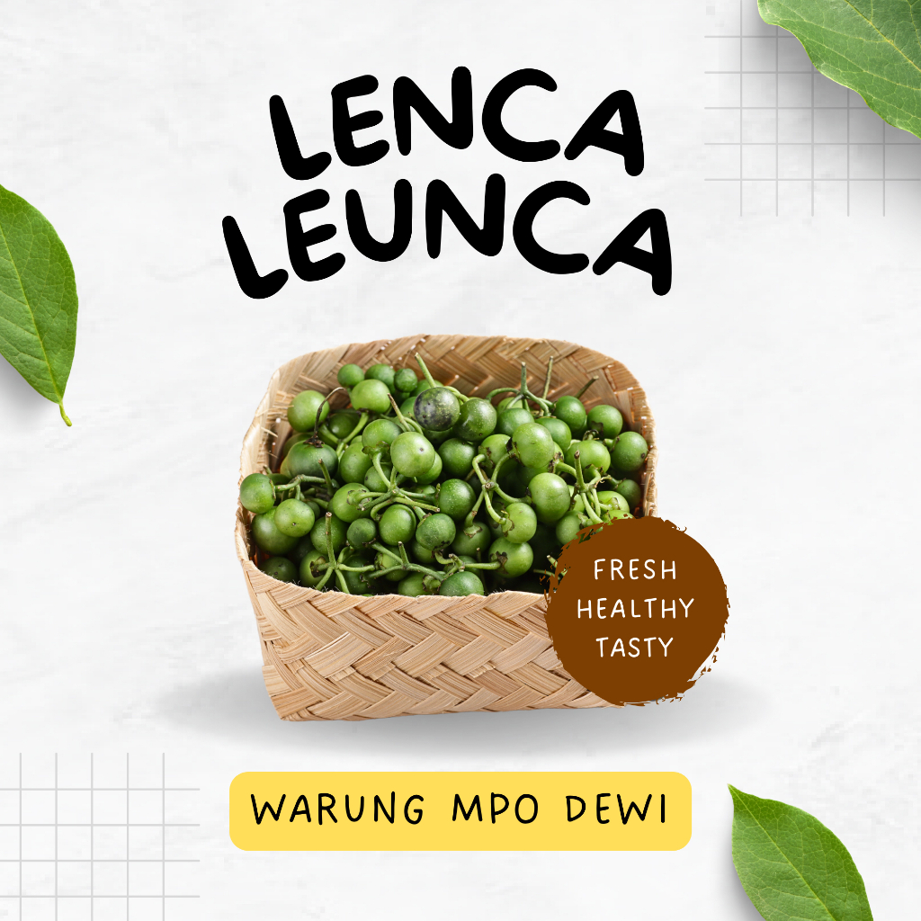 

Leunca / Lenca Hijau