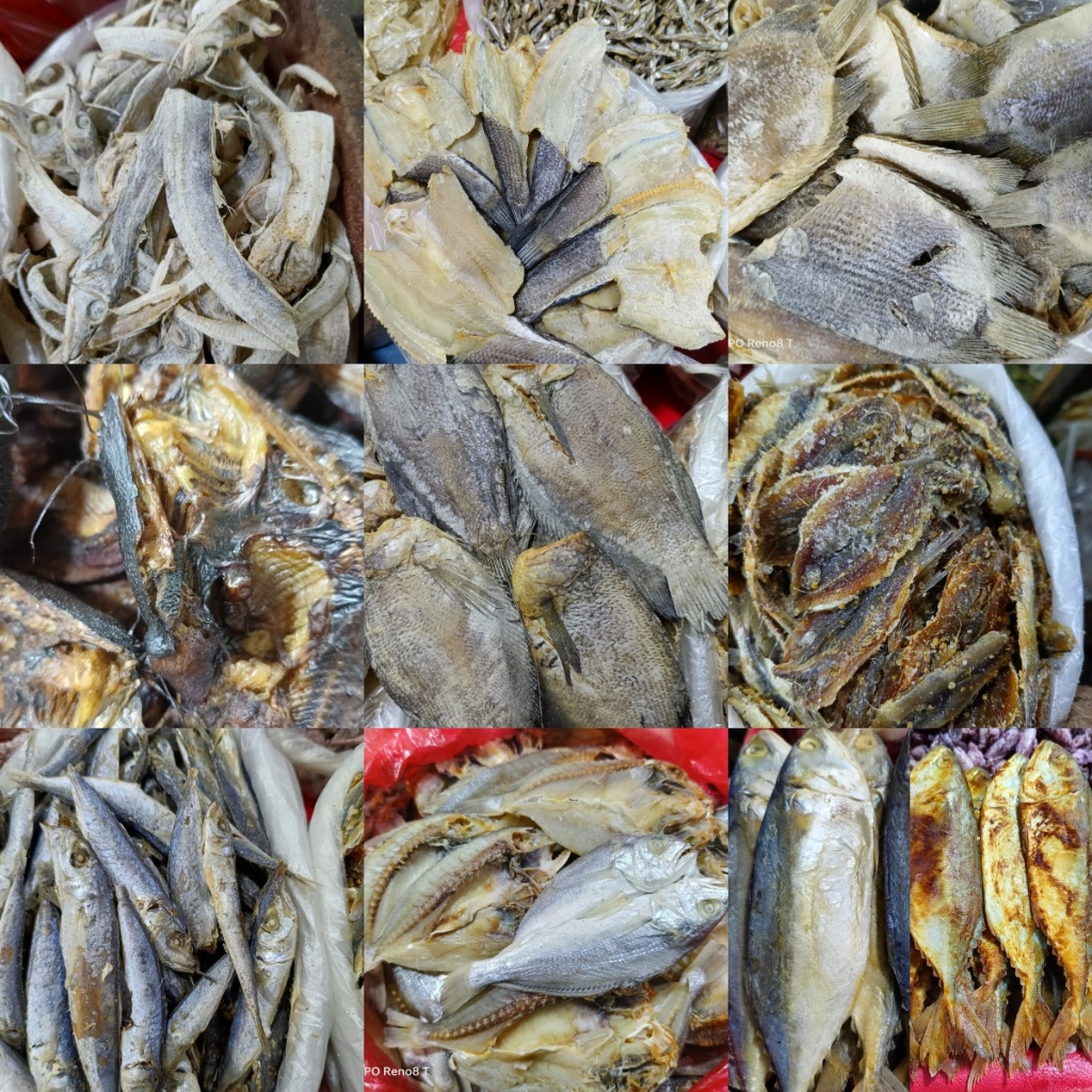 

BERBAGAI IKAN ASIN 250 gram Layur, Gabus Belah, Sangge Daging, Petek, Tembang, Ikan Dendeng, cuek, jambrong, japu layang, bulu ayam