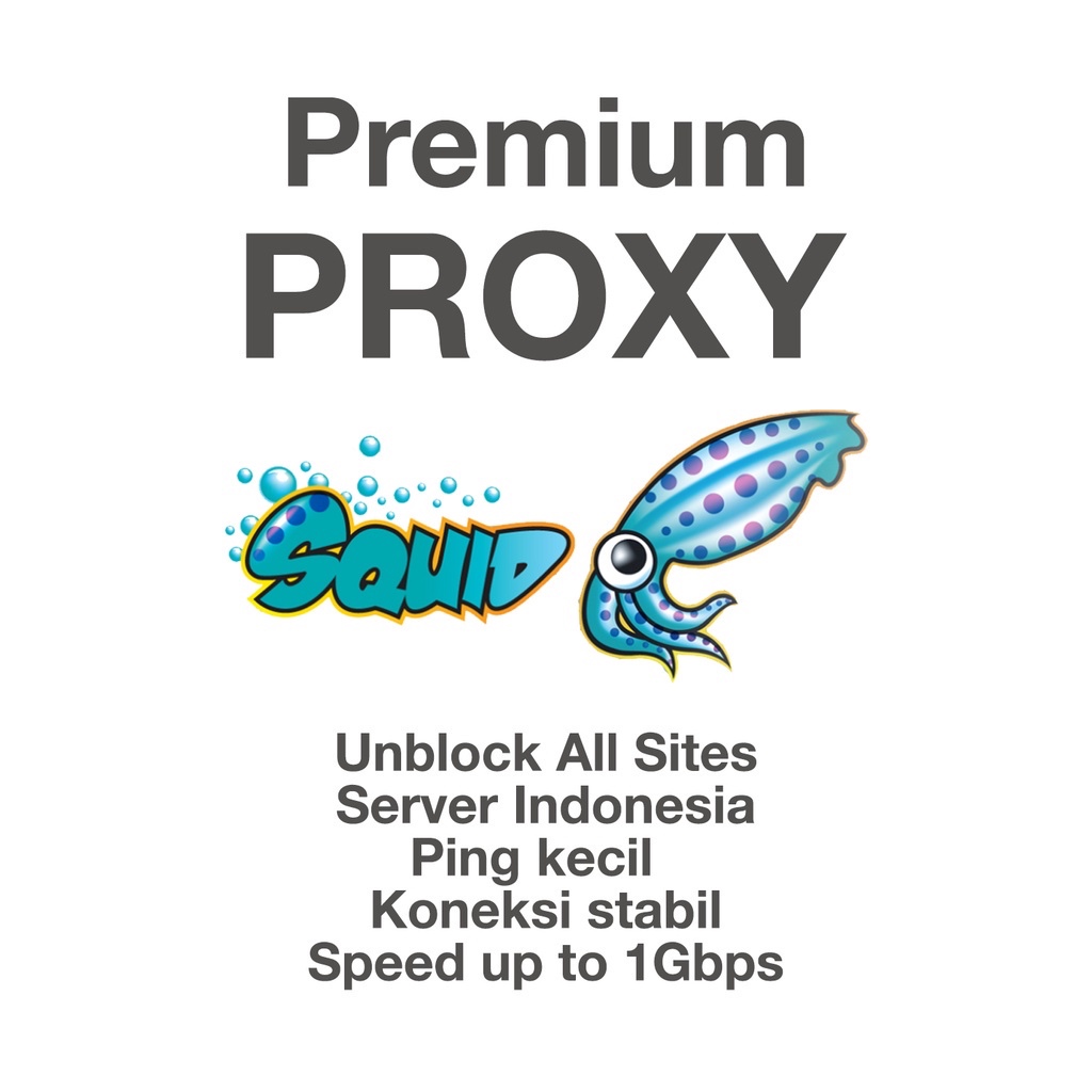 Proxy Premium Server Indonesia 6 Bulan http / https / socks 4 / 5