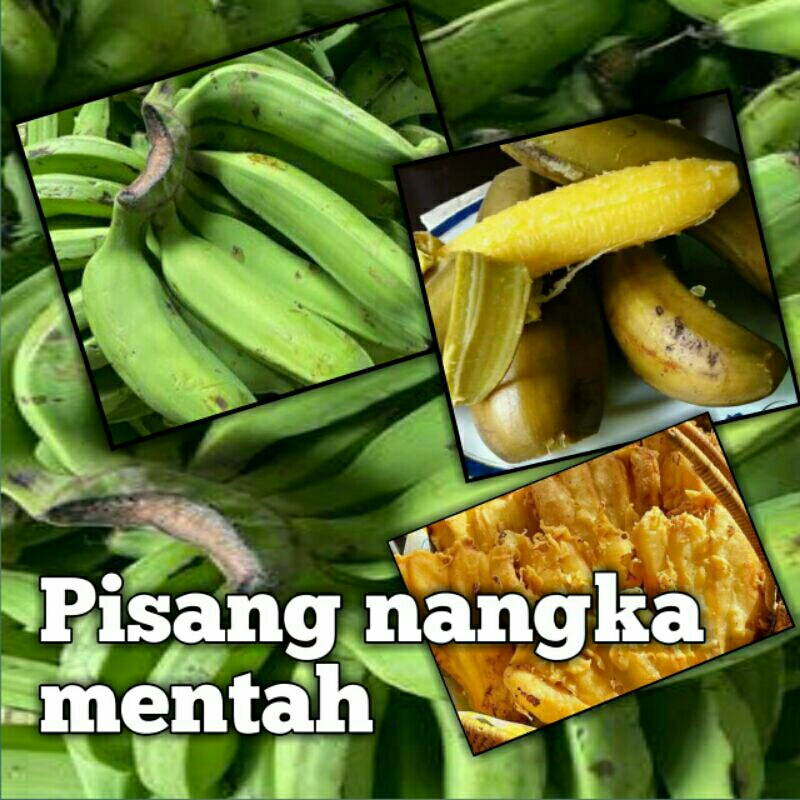 

pisang nangka mentah mateng bandung segar 1kg