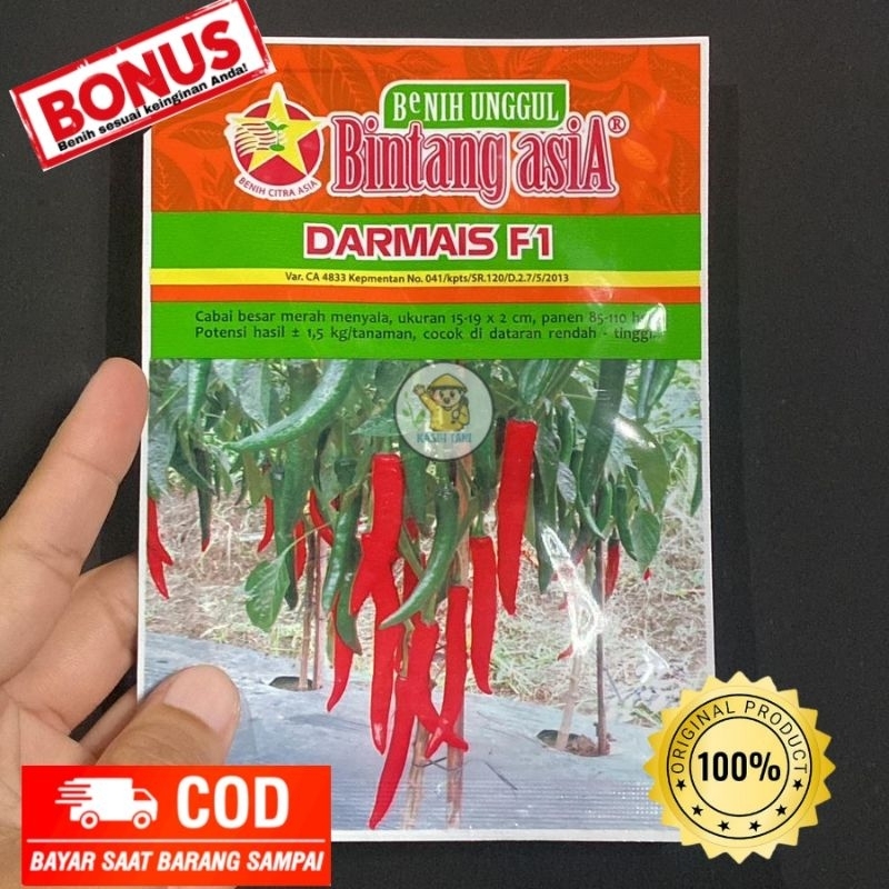 Benih Cabai Besar Darmais F1 dari Bintang Asia