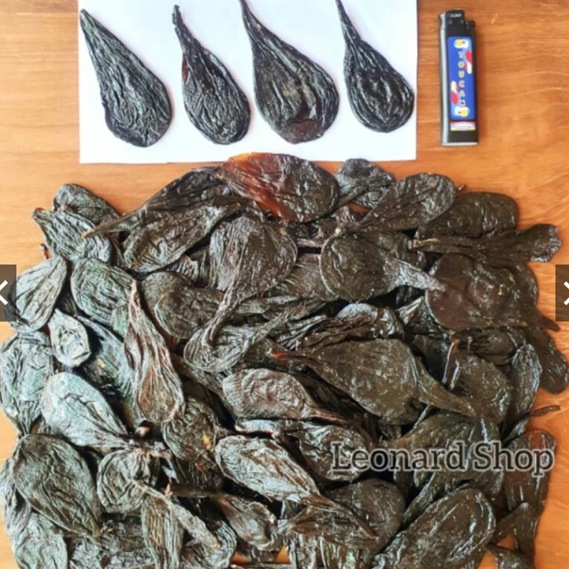 

⚡XPRESS⚡ Empedu Ular Piton / Sanca 100% Asli Besar Kering / Bukan Cobra Obat Herbal Kesehatan Kulit , Menyembuhkan Jerawat , Menurunkan