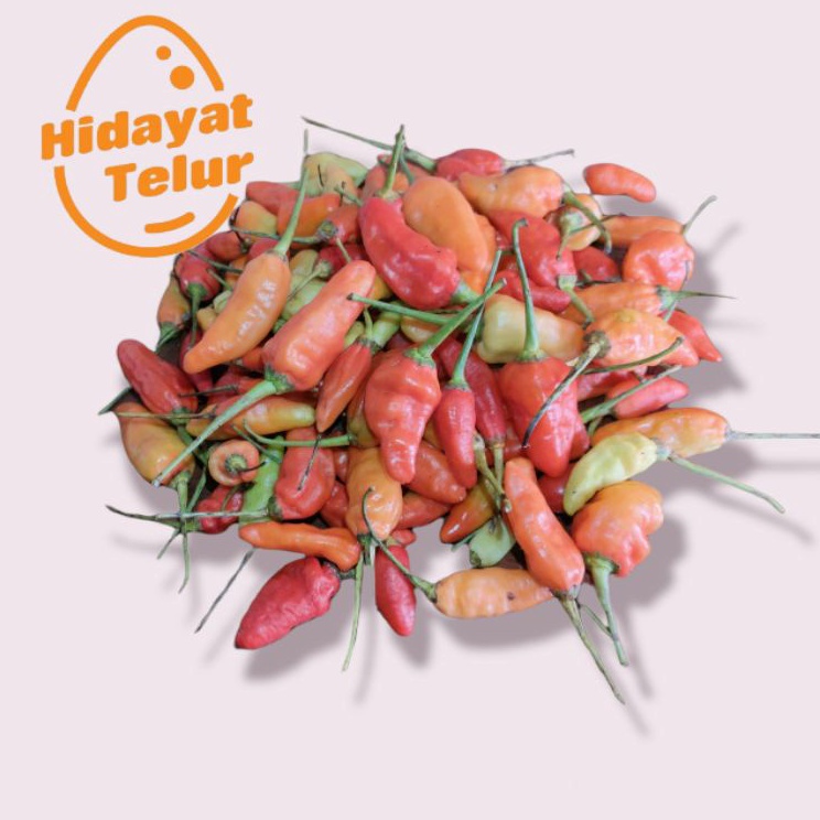 

Cabe / Cabai Rawit Merah Segar / Kg