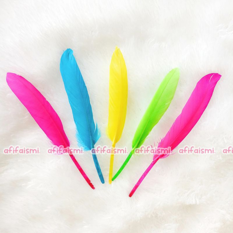 Bulu Ayam untuk Prakarya Handcraft