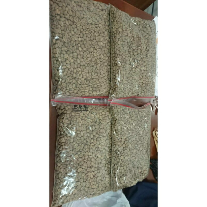 Green Bean Robusta
